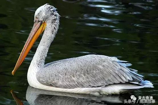 这座小岛究竟隐藏了多少秘密,一座鲜为人知的隐藏小岛