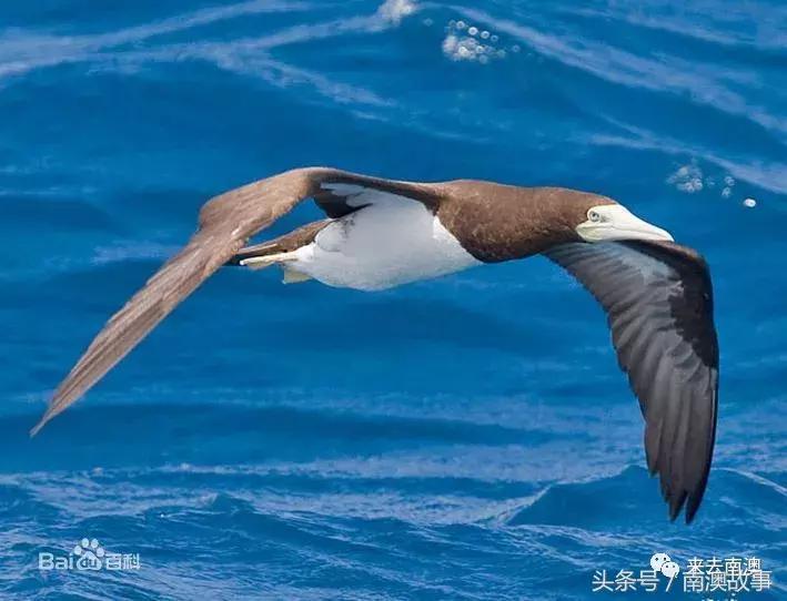 这座小岛究竟隐藏了多少秘密,一座鲜为人知的隐藏小岛