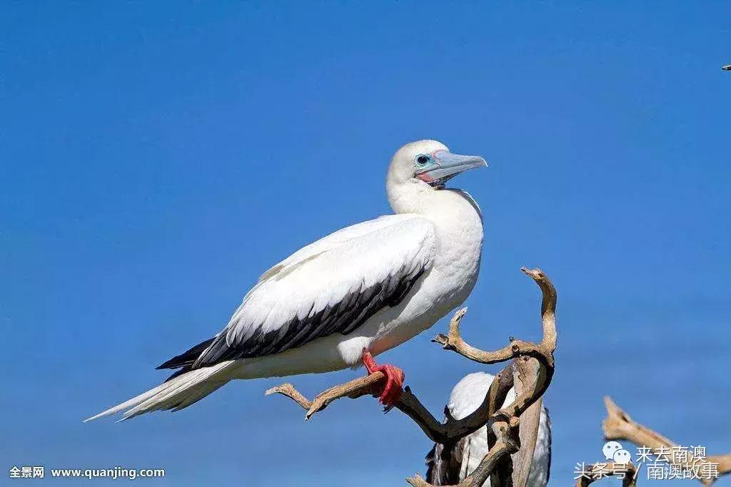 这座小岛究竟隐藏了多少秘密,一座鲜为人知的隐藏小岛