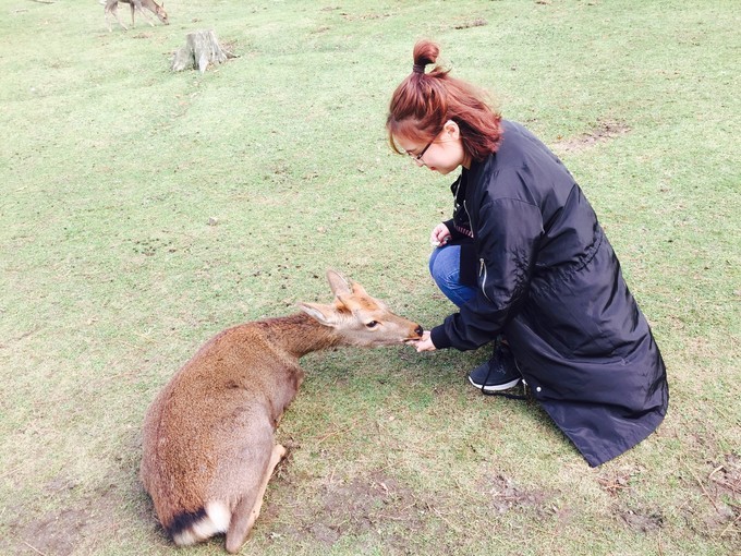 日本大阪东京旅游,日本旅游大阪的天气
