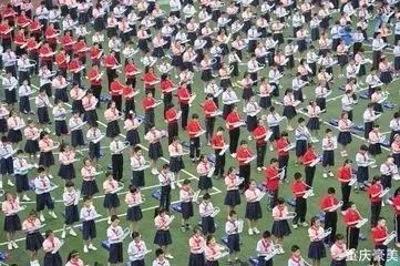 重庆渝中区求精中学对口小学,重庆实验外国语学校对口小学