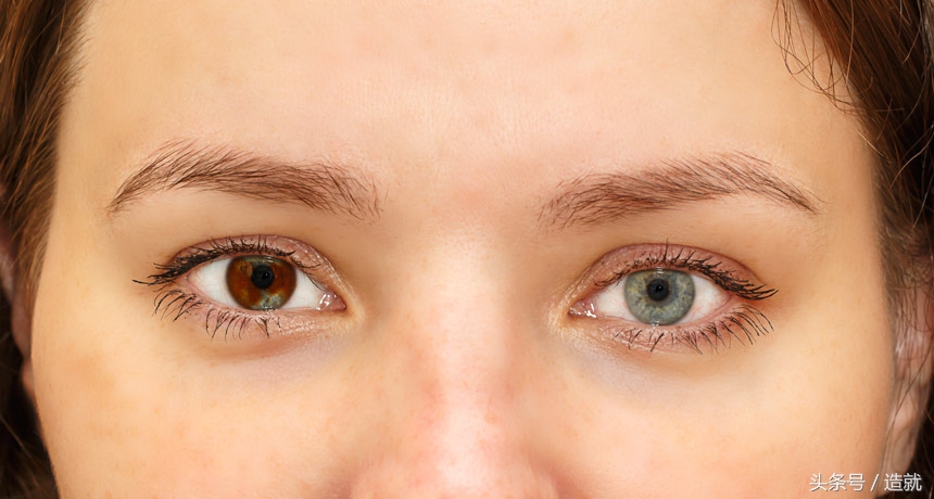 高智商、高颜值的人应该多生孩子？你大概对遗传学有误解