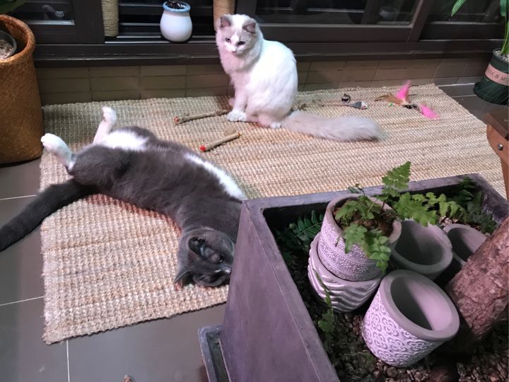 全屋实木家具布置 (家里装修设计实木家具)