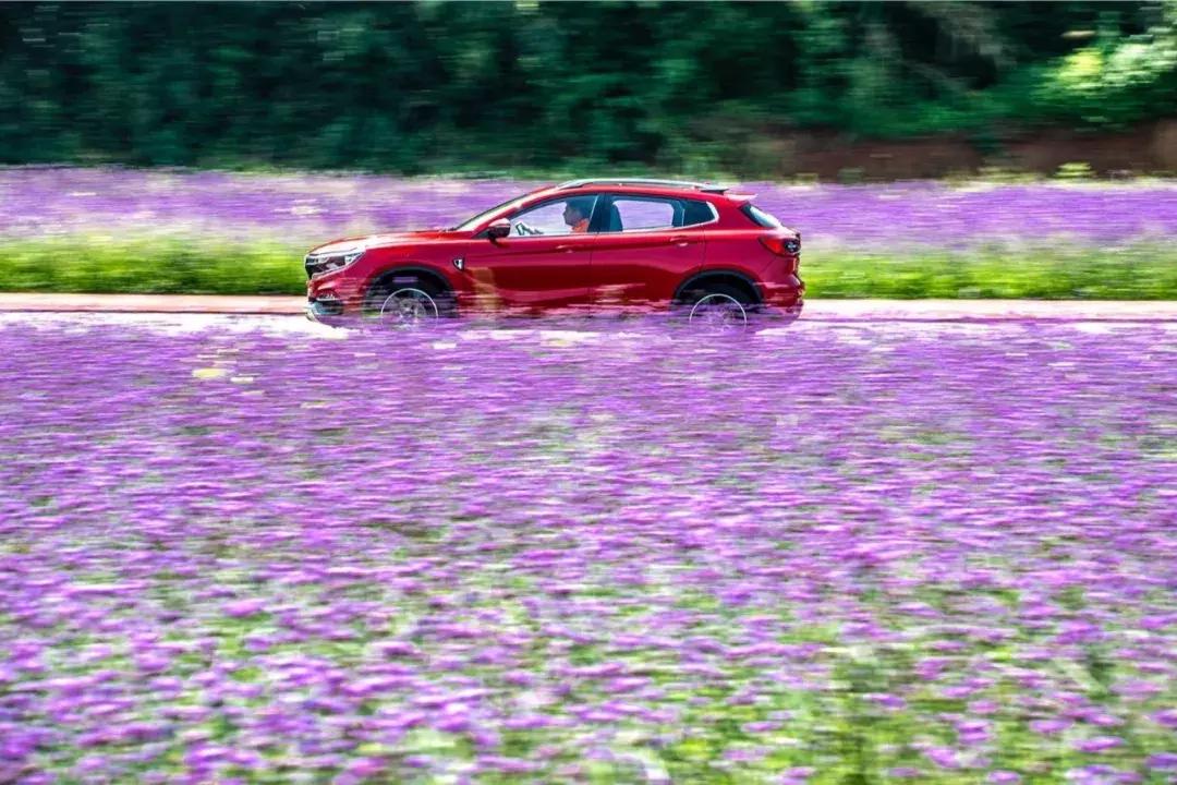 试驾陆风逍遥，性能超越方显逍遥本色