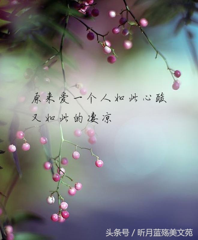 有一种爱叫做放手泪目,世上有一种爱叫放手