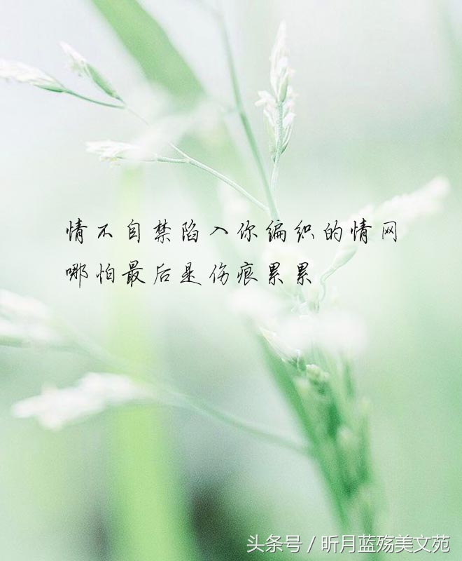 有一种爱叫做放手泪目,世上有一种爱叫放手