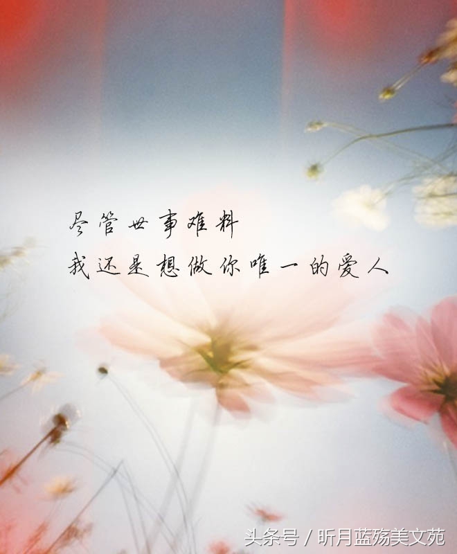 有一种爱叫做放手泪目,世上有一种爱叫放手