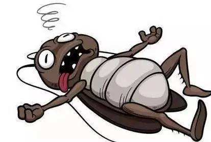 为什么蟑螂能抗辐射,为什么蟑螂怕辐射