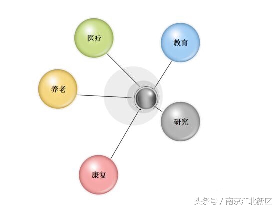 江北新区管理委员会罗群,江北新区生命健康产业发展办公室