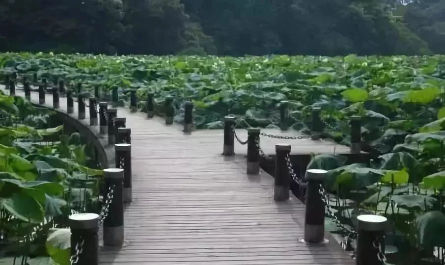 深圳免费景区一览表,深圳国际艺术博览会免费门票