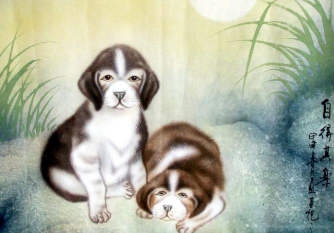 近十年狗运势,70年的狗哪一年运气最好