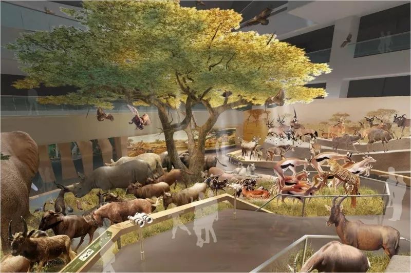 七月武汉旅游攻略,武汉旅游攻略七月