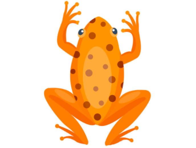 有剧毒的生物都有哪些,有剧毒的可怕生物