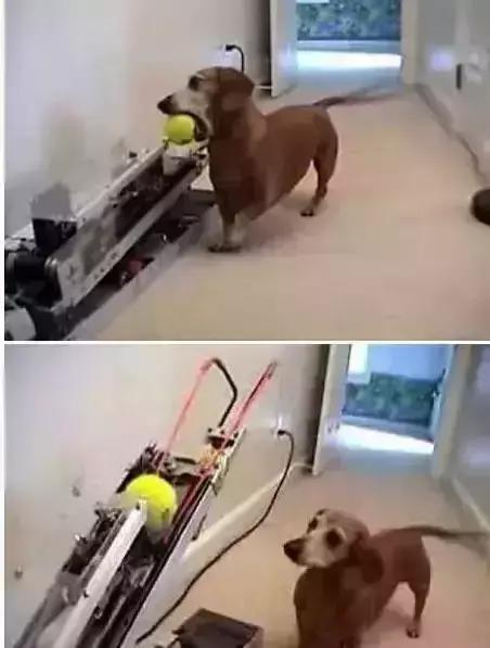 史上最奇葩泳衣,史上最奇葩的搞笑发明