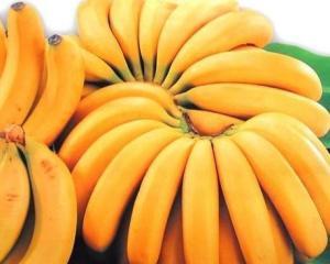 香蕉帝王蕉图片,粉蕉金蕉
