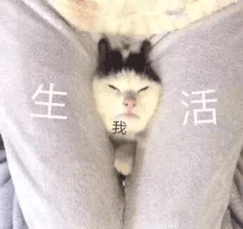 炎热夏天也少不了火锅,天气炎热油腻怎么办