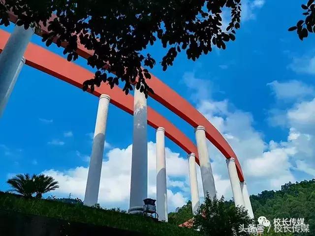 看世界杯决赛的过程,看世界杯决赛感受