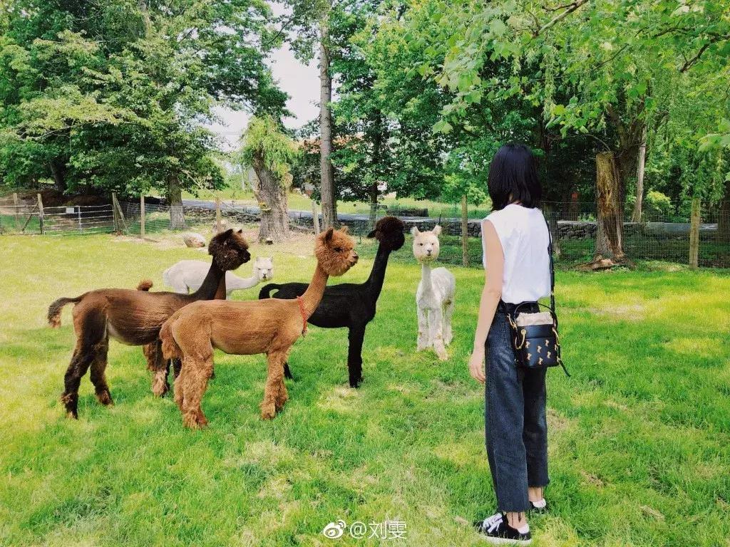 小众高级感时尚水桶包,高级感时尚百搭水桶包