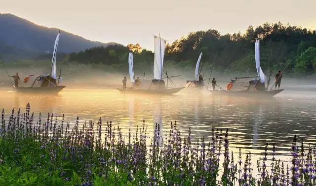 古堰画乡如诗如画,古堰画乡最是诗情画意的地方