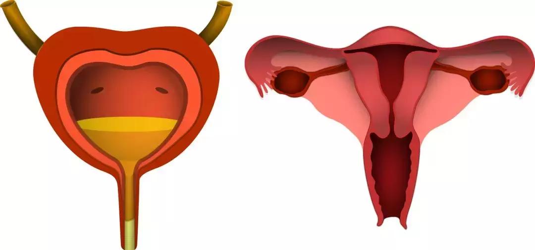海外就医患者经历了什么,海外看病的真实感受