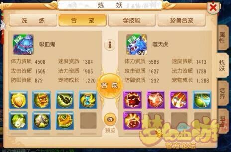 梦幻西游暴力合宠图,梦幻西游灵儿