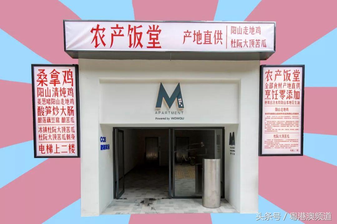 广州挑战20元做两菜一餐,广东40元做两个菜