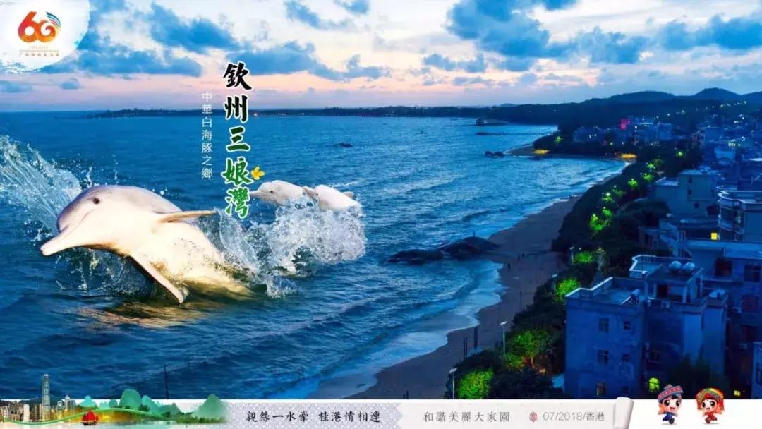 广西代表团入会场,广西党政代表团访问港澳