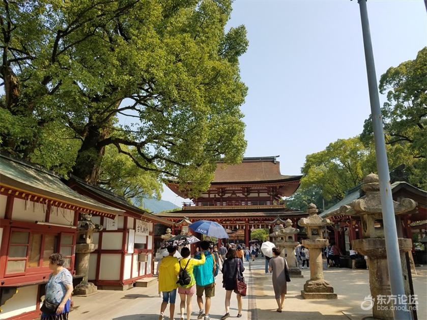 坐奢华游轮什么感受？房间就像漂在海上量子号游记！