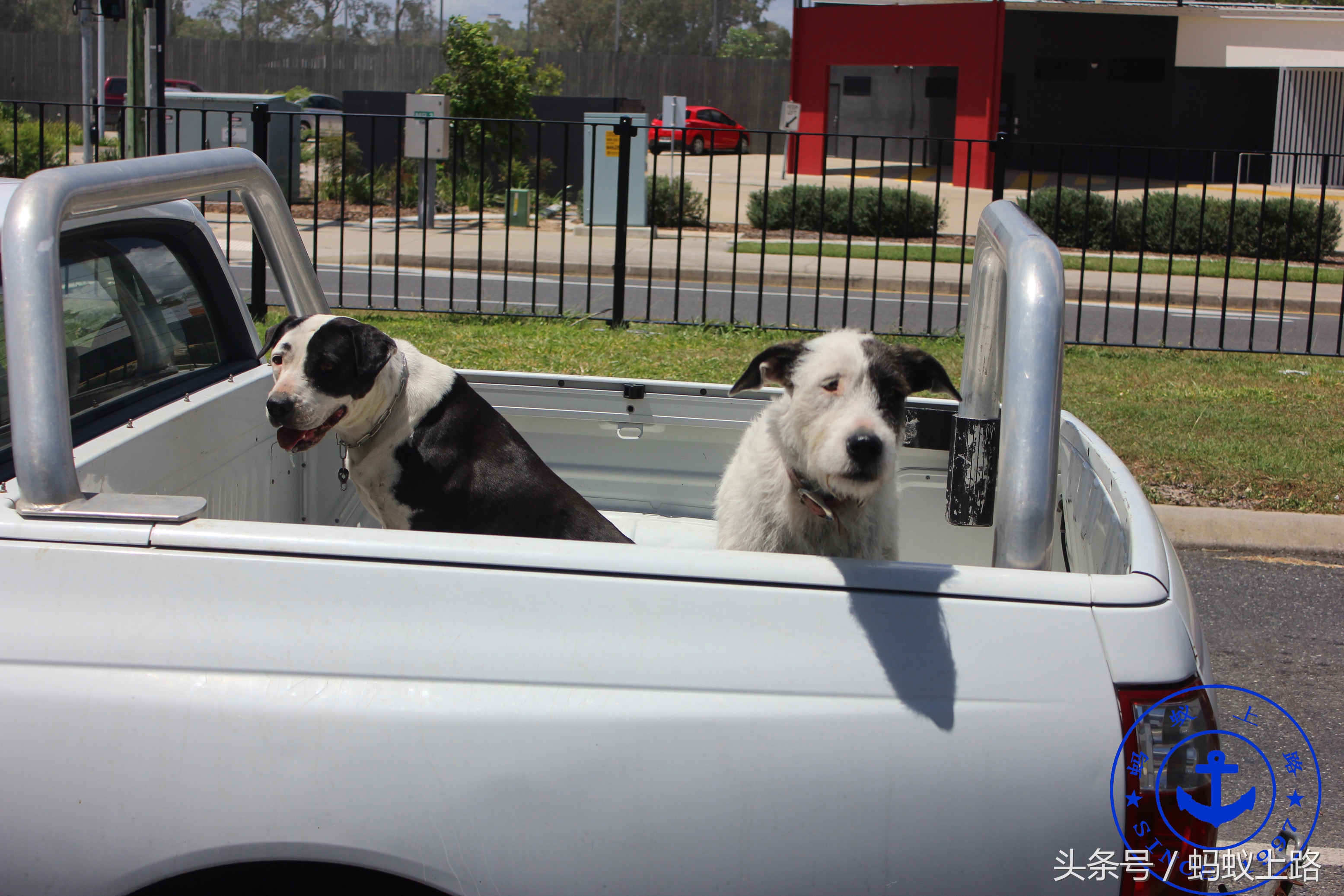 婢冲ぇ鍒╀簹gladstone浣嶇疆,婢冲ぇ鍒╀簹gladstone鍦ㄥ摢