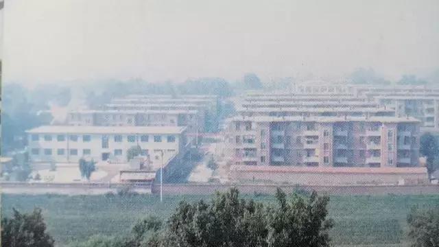 张钢千仓汇,张金钢真实照片