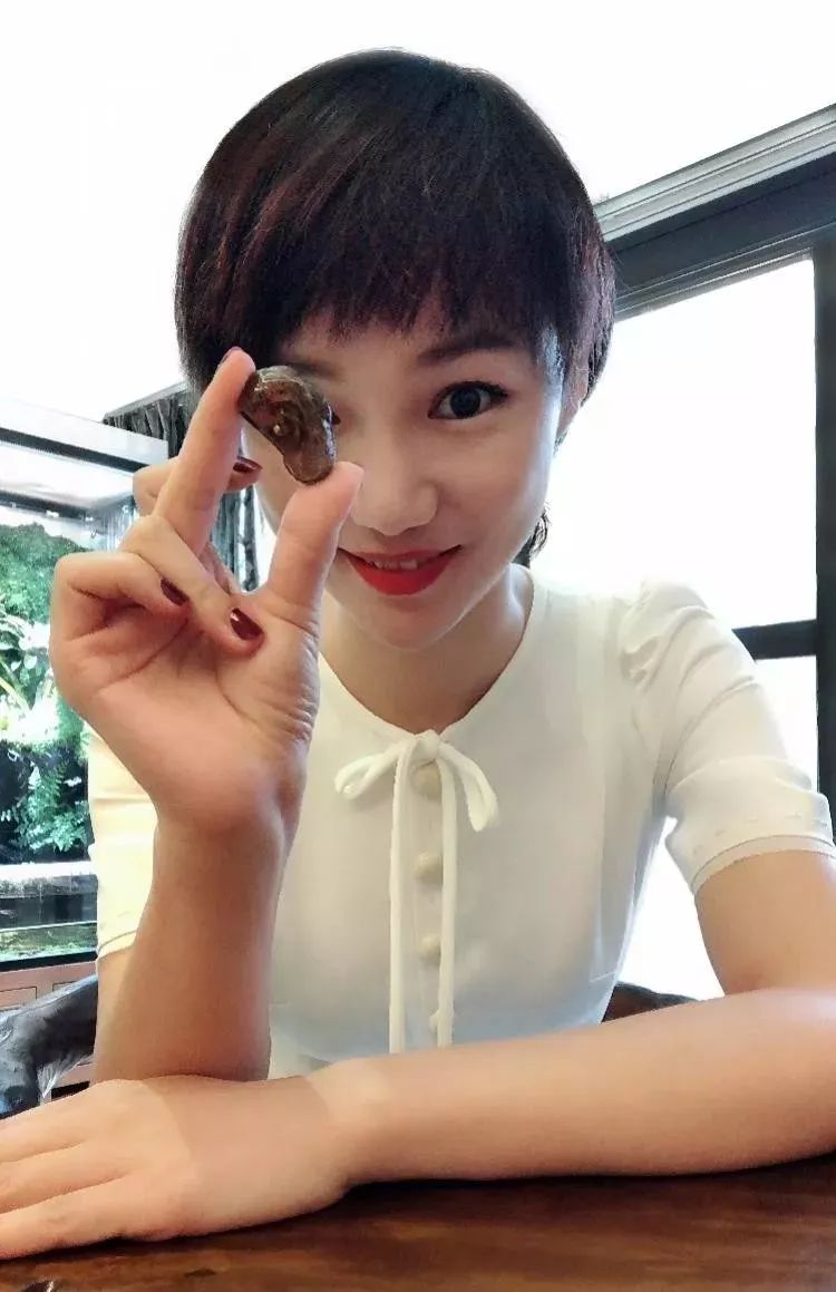 世界上发现蛇类琥珀,人类首次在琥珀中发现鸟类