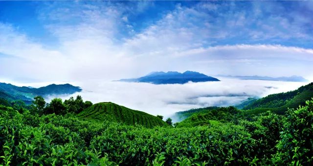 您好，南川！我是你的新朋友——贺州，我们的故事从这一刻开始啦