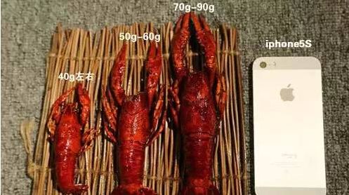 小龙虾夜宵美食最近最火爆的,小龙虾永恒之巅