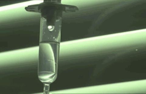 14级剧痛怪症的真相,却是指甲盖大小的透明幽灵