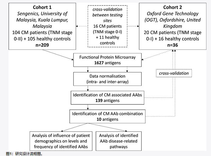 早期黑色素瘤生存率超过了五年,中国晚期黑色素瘤五年生存率