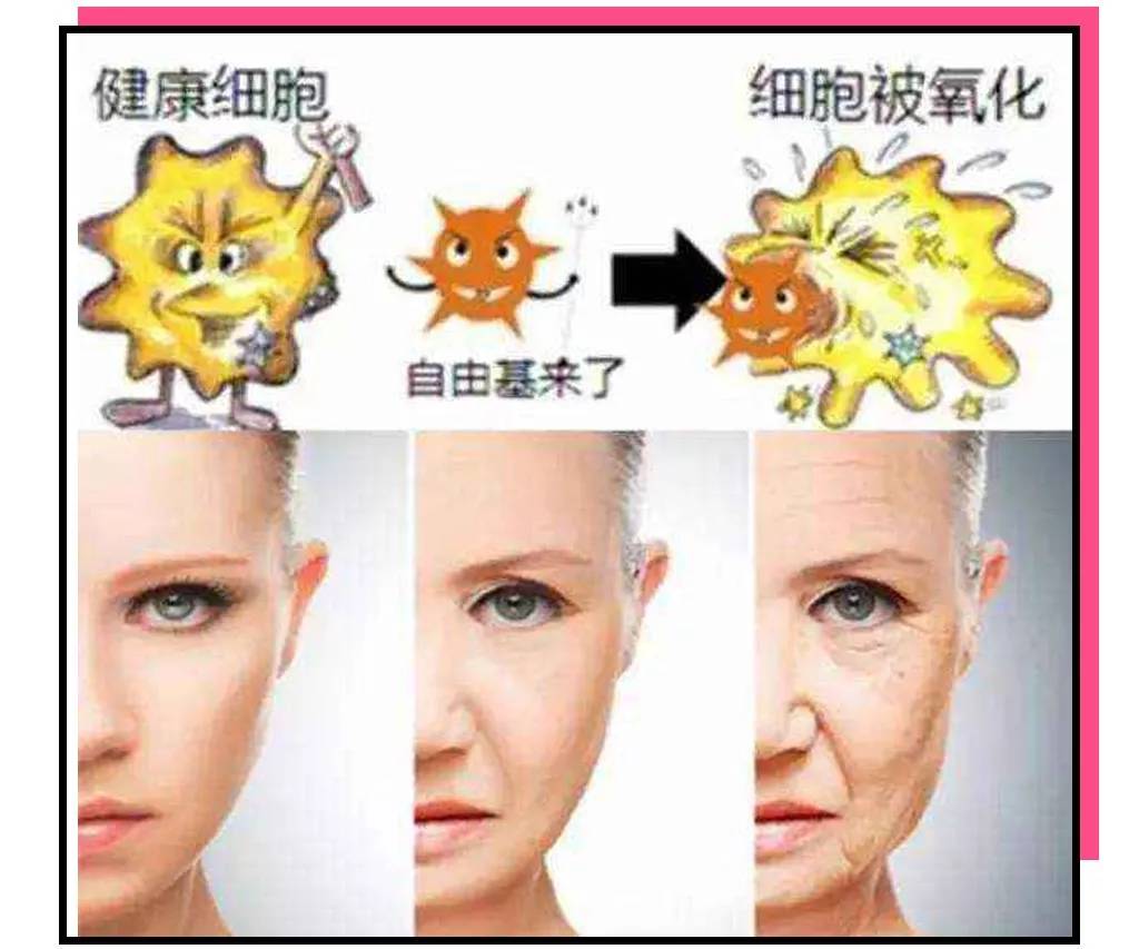 延缓衰老的葡萄籽,等你老了就知道身体比啥都重要