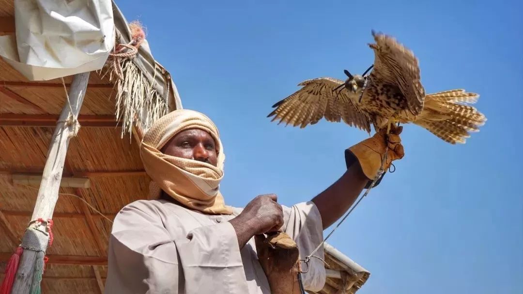 卡塔尔世界杯期间免签吗,2022年卡塔尔世界杯你准备好了吗