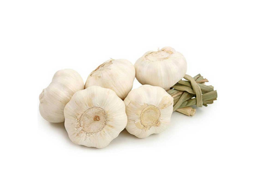 大蒜是属于植物的哪部分,大蒜是生活中的什么