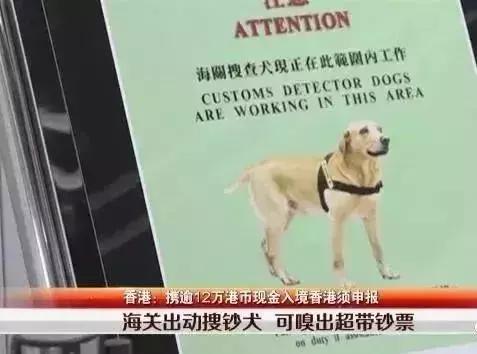 去香港超过7天了罚款吗,在香港逗留半年需要交多少罚款