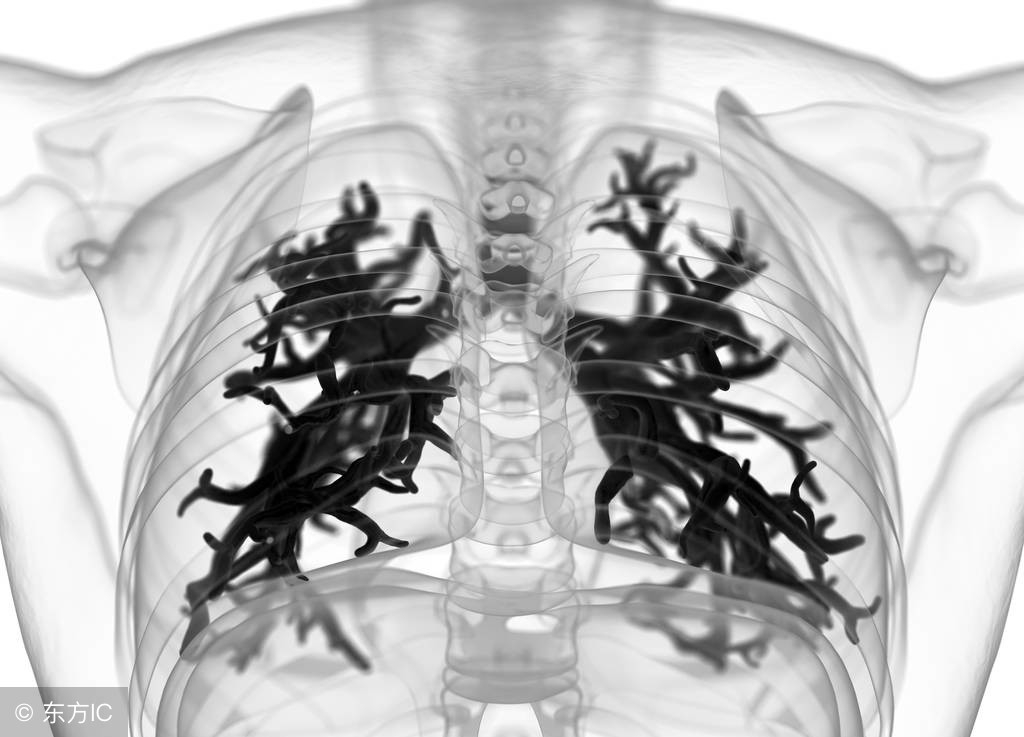 支气管炎食疗方法大全,支气管炎食疗最好方法