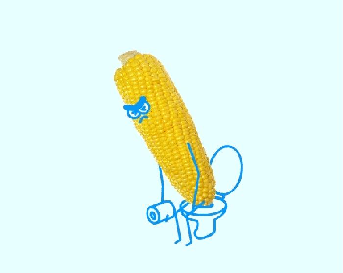 教你20秒快速排便,怎么很畅快的排便