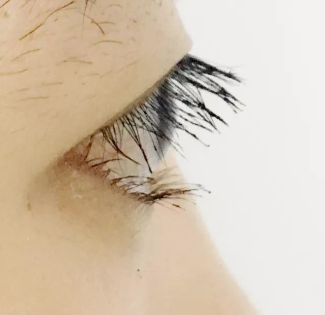 睫毛膏10大品牌推荐,平价卷翘睫毛膏测评