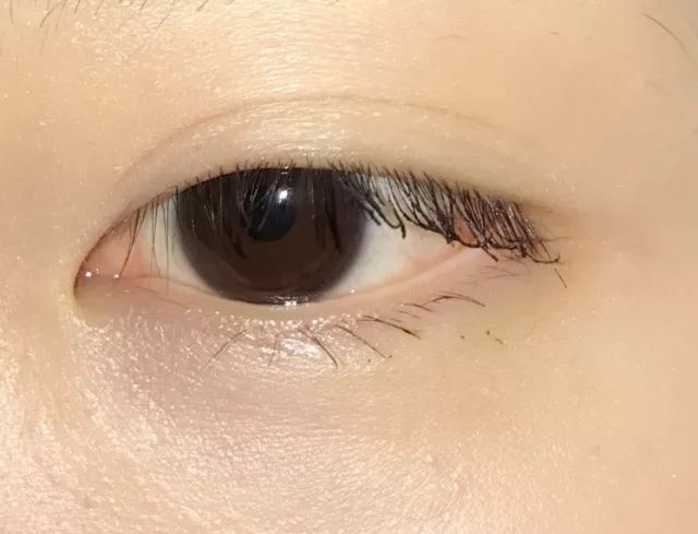 睫毛膏10大品牌推荐,平价卷翘睫毛膏测评