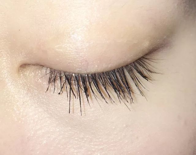 睫毛膏10大品牌推荐,平价卷翘睫毛膏测评