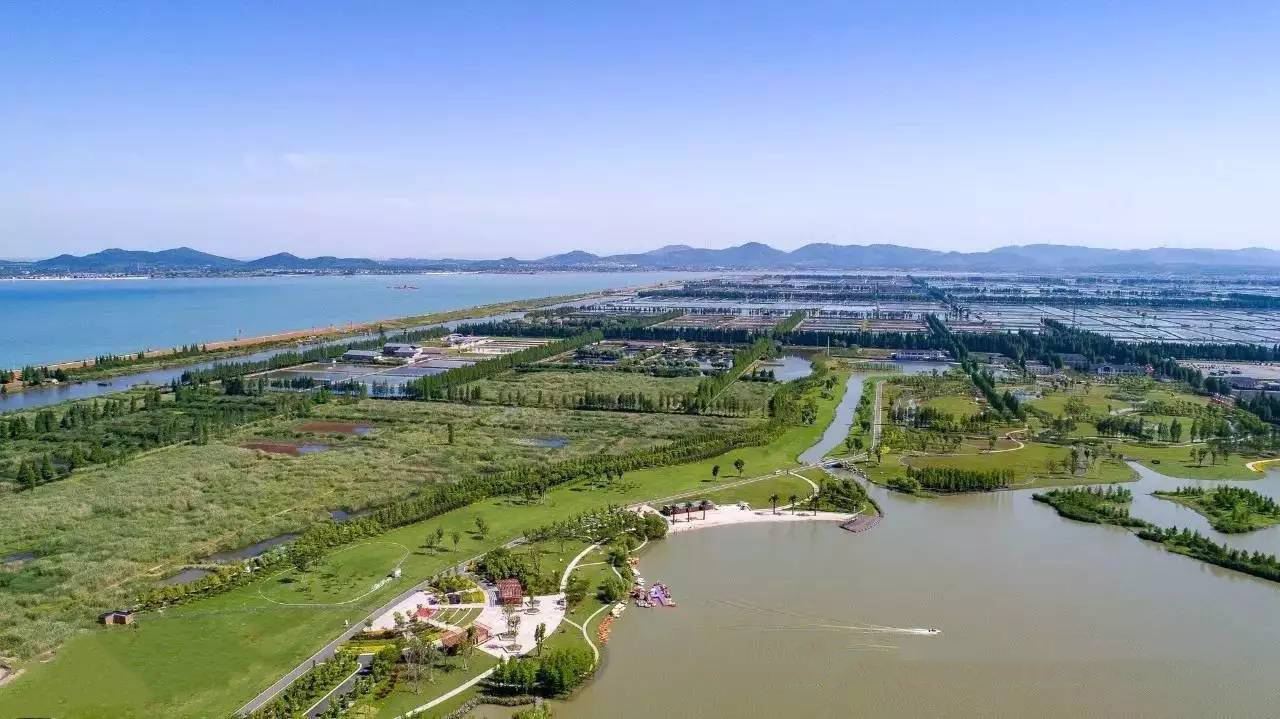 大闸蟹买阳澄湖还是固城湖好,活蟹正宗固城湖大闸蟹