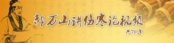 郝万山讲伤寒论文字版27讲,中医经典郝万山讲伤寒论