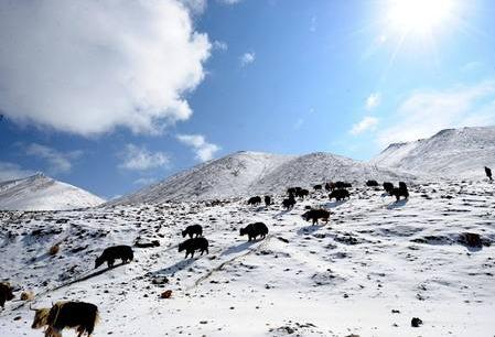 20岁应该去哪里旅游,20岁适合去哪些地方旅游