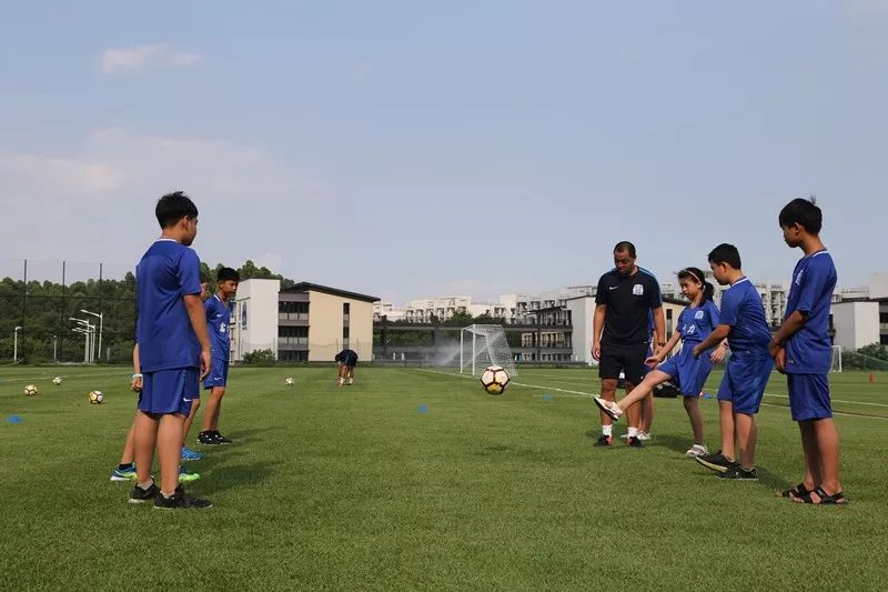 小候鸟来广州旅游,小候鸟公共文化之旅