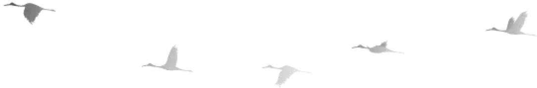 轮胎企业银宝,银宝轮胎集团简介