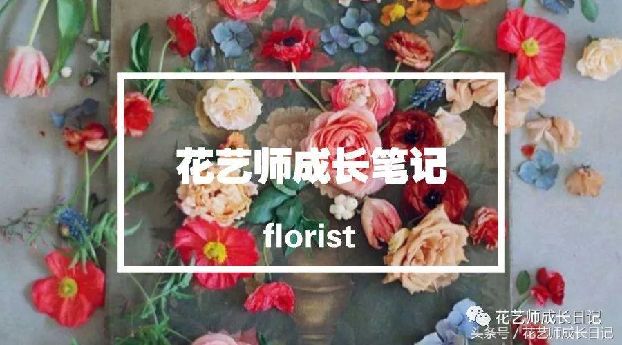 花艺小白怎么选择培训,花艺小白如何插花入门教学